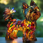 Błyszczący Yorkshire Terrier